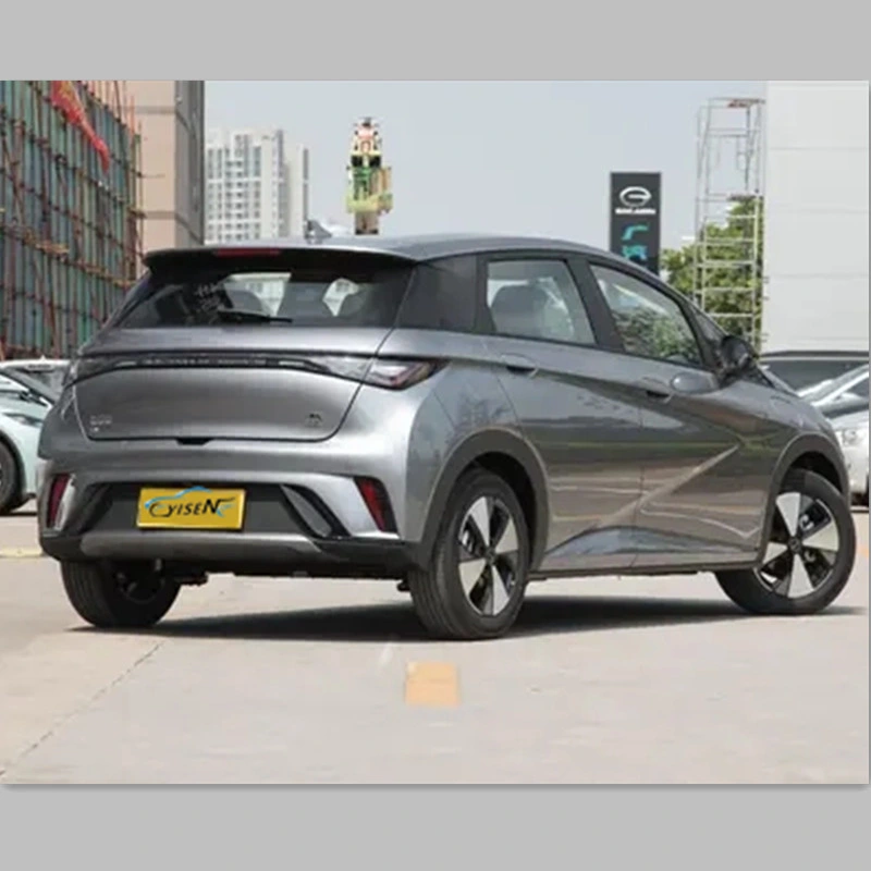 Hot-Selling New Energy Electric Vehicle with High Appearance