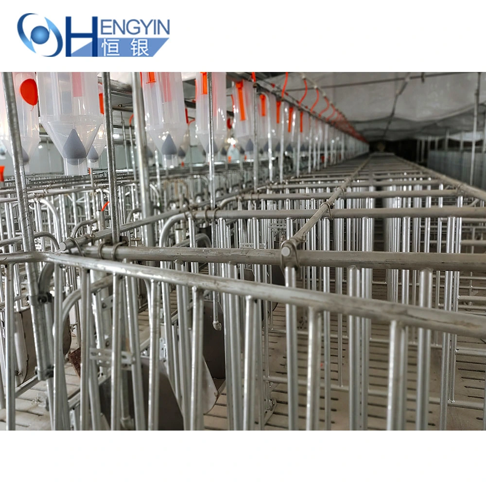 Pig Sow Gestation Cage Pig Farm Equipment Gestation Crates