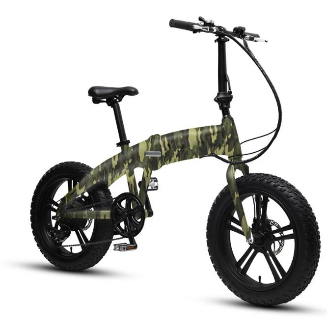 20inch Aluminum Alloy Electric Foldable Bike with Ce Wholesale/Supplier