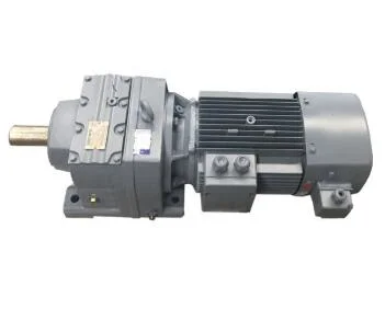 R Series Helical Reductor Transmission Parts with Electric Motors Engine