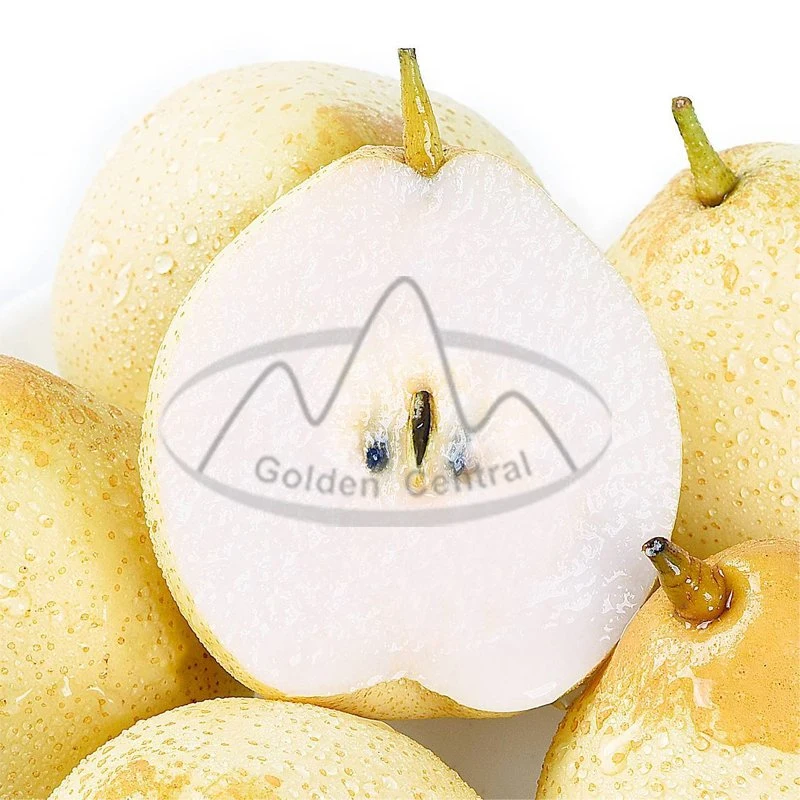 Fresh Hot on Sale Chinese Fruit A Grade Yellow Ya Pear