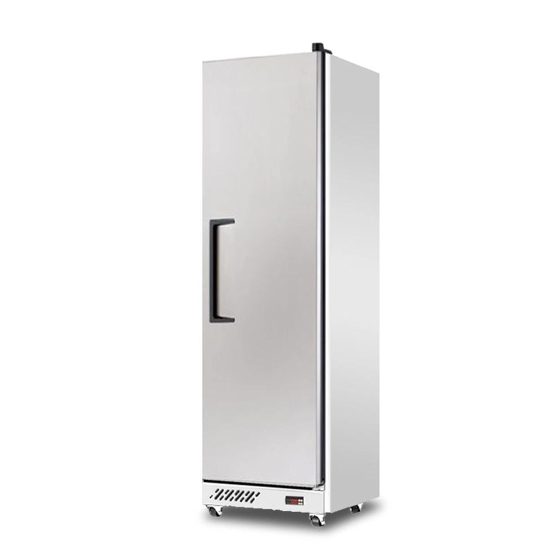 Double Door Single Temperature Vertical Kitchen Refrigerator