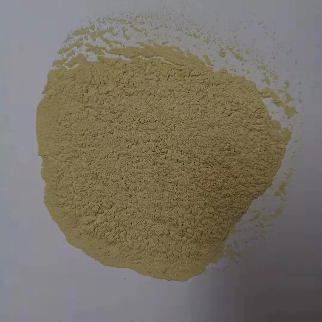 Herbal Extract Solvent Extraction Food Grade Rosemary Extract
