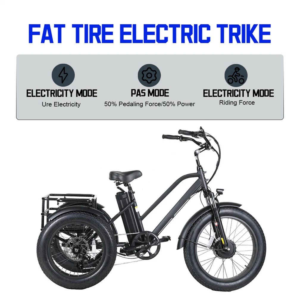 Трехколесный толстый шины Электрический трицикл Cargo для Beach Cruiser