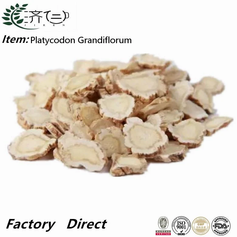 Chinese Herbal Medicine Platycodon Grandiflorum for Wholesale/Supplier