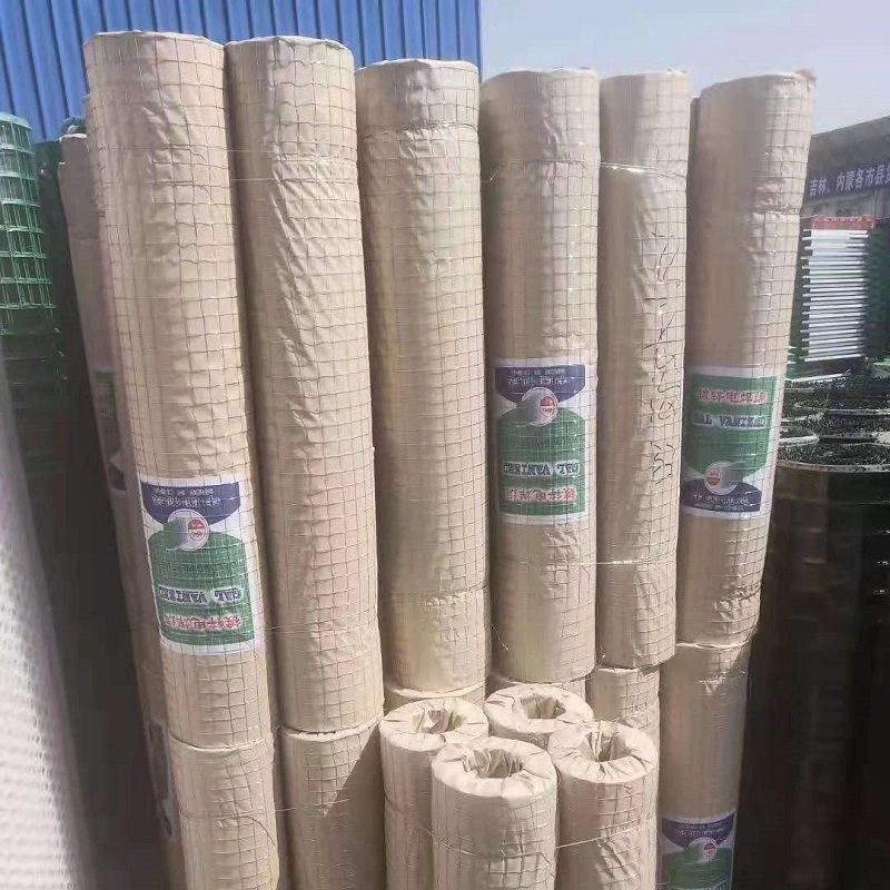 Coated Galvanized Welded Wire Mesh Roll