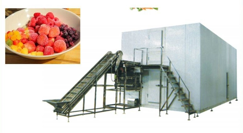 China Manufacturer Vegetable and Fruit Freezing Machinery