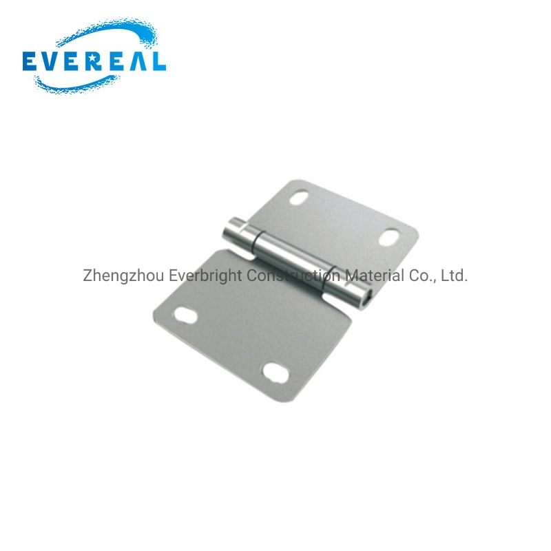 Hot Sale Ce Metal Joint Hinge Made in China