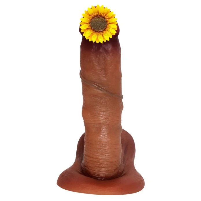 Dildo réaliste avec une forte ventouses, épais en silicone pénis pour jouer, doux et mains libres pour Skin-Friendly vaginales et anales G-Spot Jouer, sex toy 6,69"