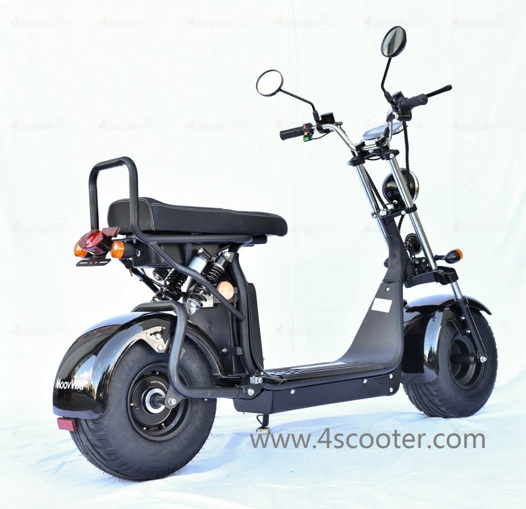 1000W 1500W 2000W Coc/EEC/CE Legal Electric Bike Motorcycle City Coco Scooter