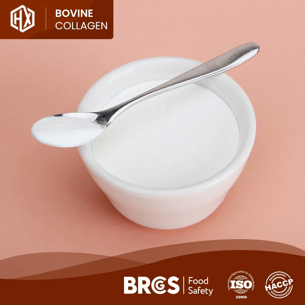 Haoxiang Wholesale Trade Bovine Hides Collagen Ingredients High-Quality Bovine Hide Collagen Peptides China Supplier Free Sample Flavoured Collagen Powder