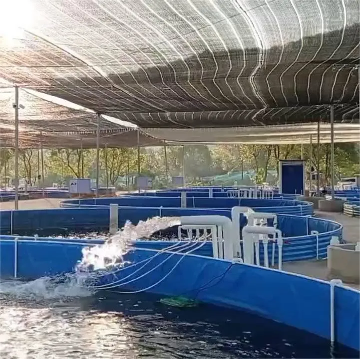 Usine en gros Réservoir de poisson pliable en PVC économique Réservoir de poisson