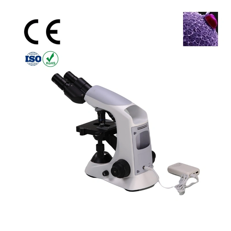 Instrumento de laboratorio Thrinocular Microscopio con condensador Abbe