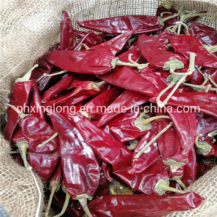 Chinese Chilli Factory/Yidu Chilli/Sweet Paprika Chilli/Dried Jinta Chili/Puya Chili/Mexico Guajillo Chili