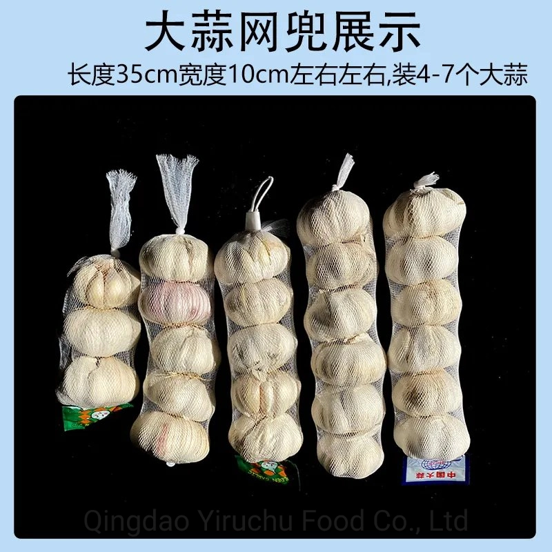 New Crop From China Normal Fresh Garlic