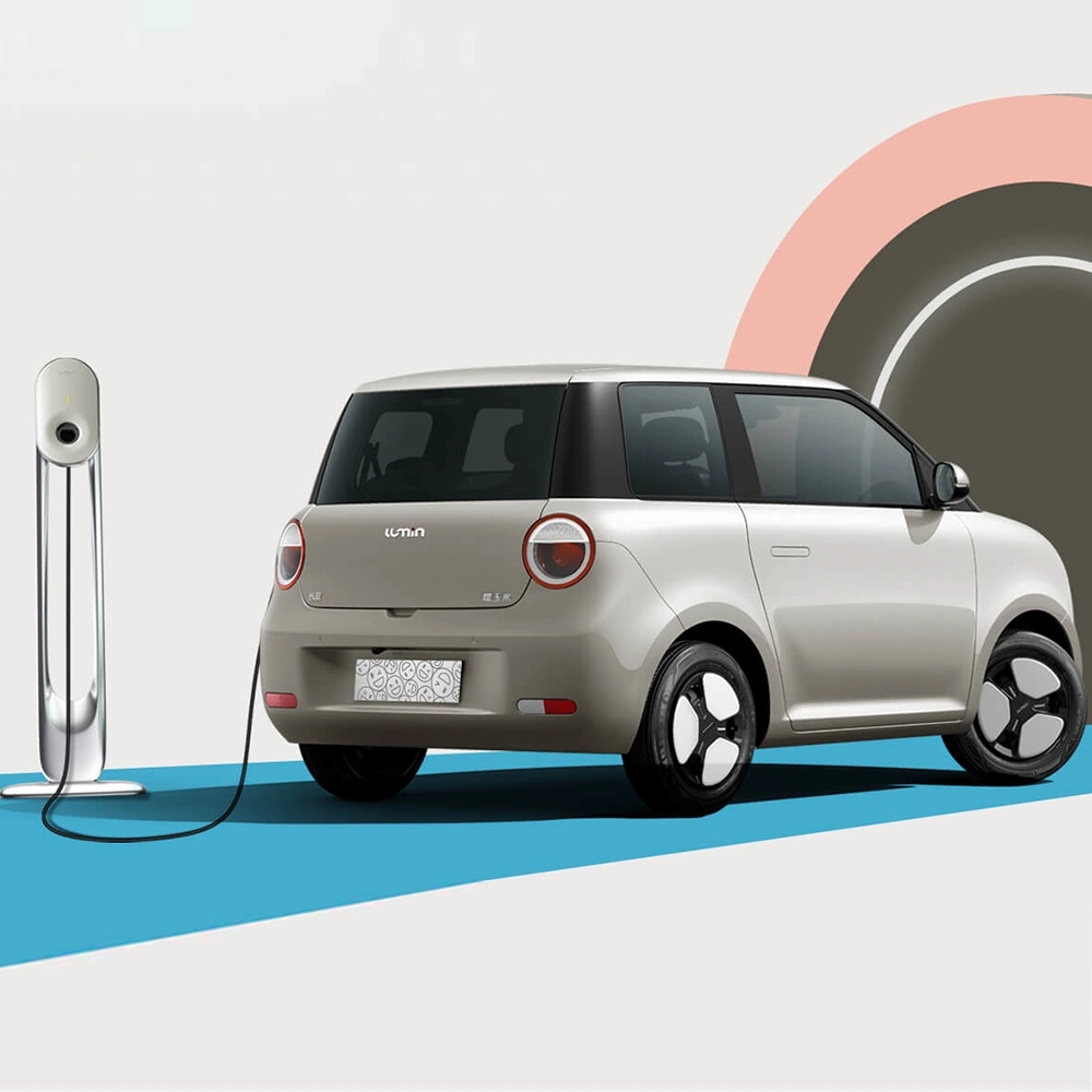 Económico Smart Mini eléctrico EV coche famoso de nueva energía Vehículo eléctrico Auto para Damas