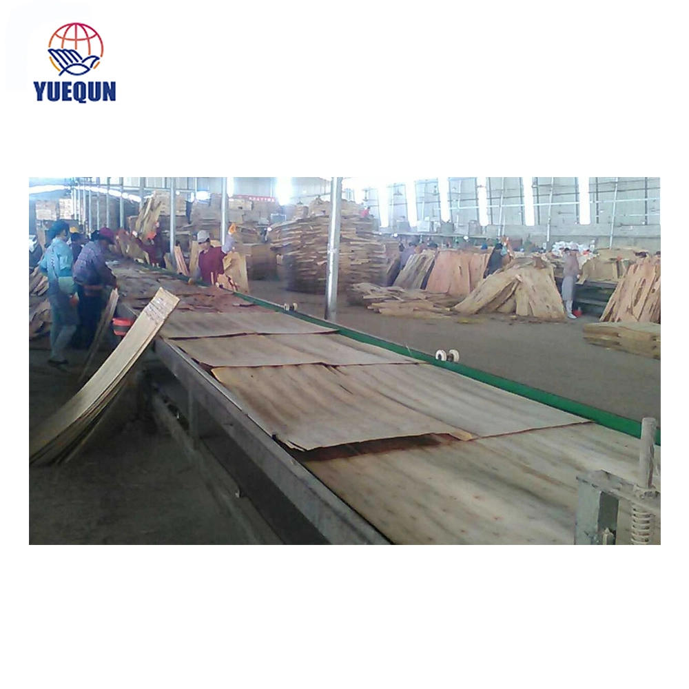 Plywood Assemble Line Machine for Plywood Veneer Paving Machine Line