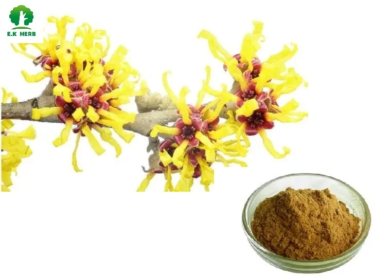 E. K Herb Leading Plant Extract Manufacturer High Purity Comestics Skincare Tannins 10% ~60% Witch Hazel Extract Hamamelis Virginiana Extract