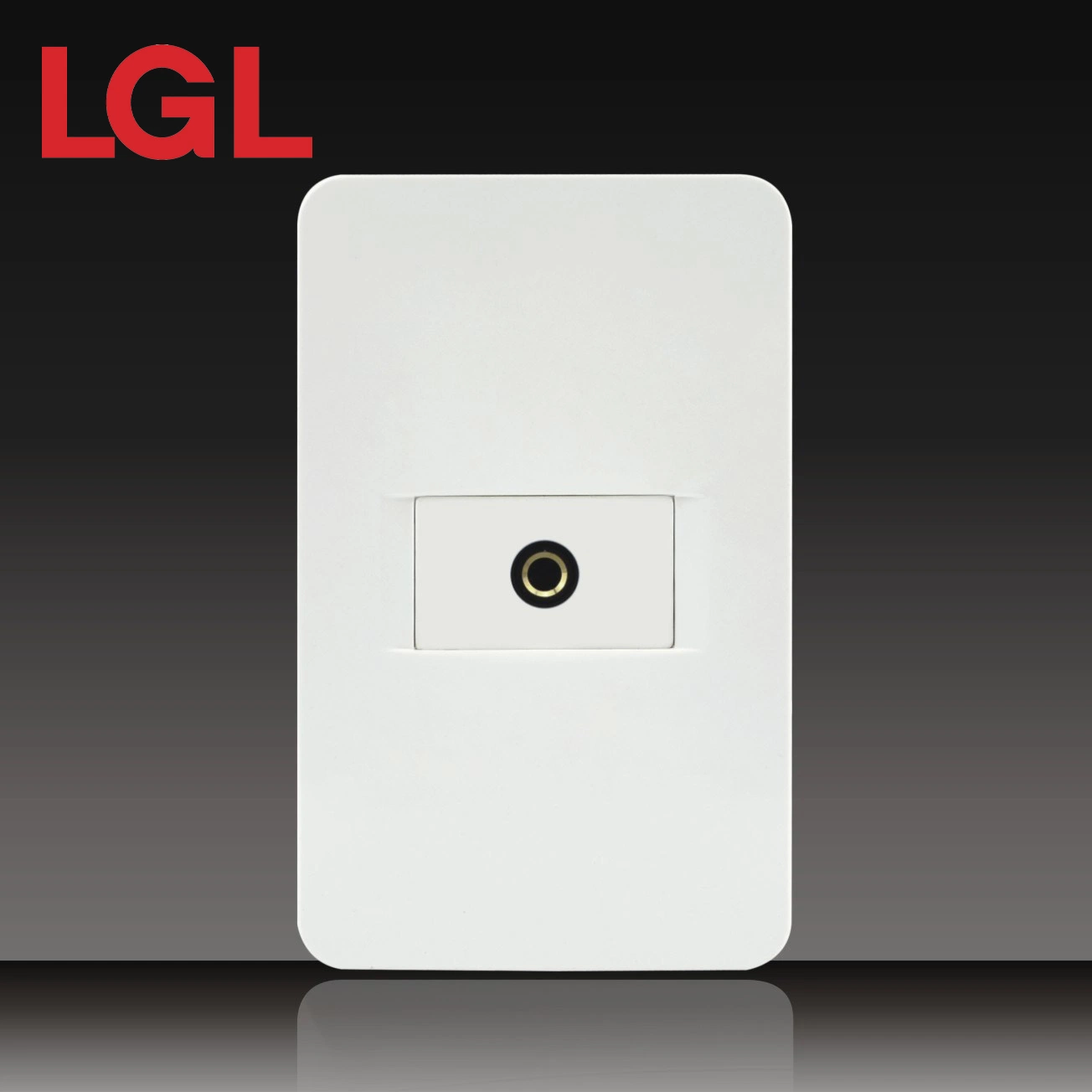 High quality/High cost performance  PC Material 2 Gang Rj11 Telephone Socket (LGL-11-29)