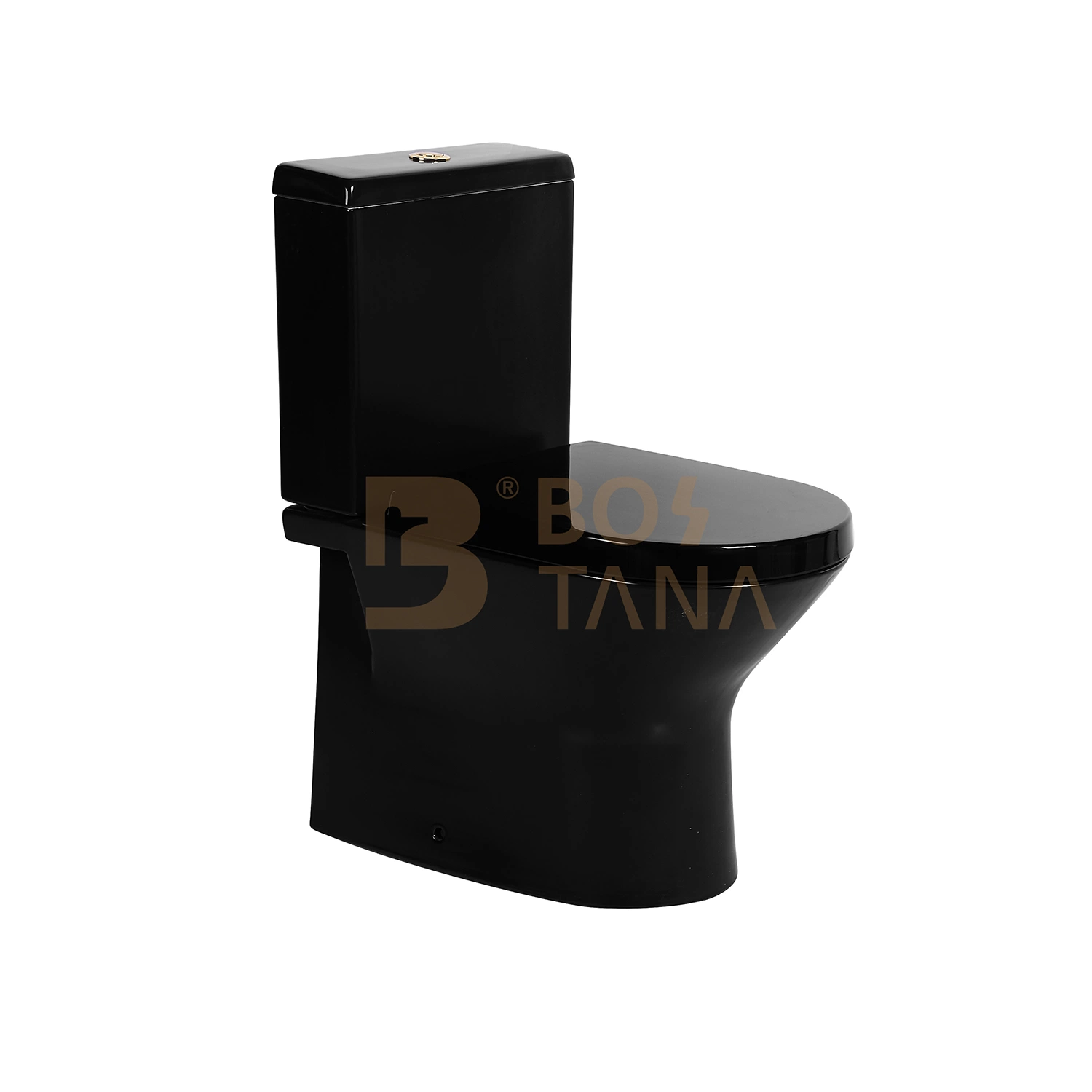 Venta caliente cuarto de baño de cerámica negro mate especial wc de dos piezas