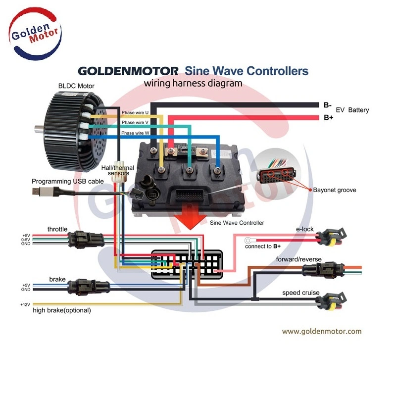 2020 Golden Motor 3KW bürstenloser Gleichstrommotor mit VEC 200 Sinuswellenregler für Elektromotorrad