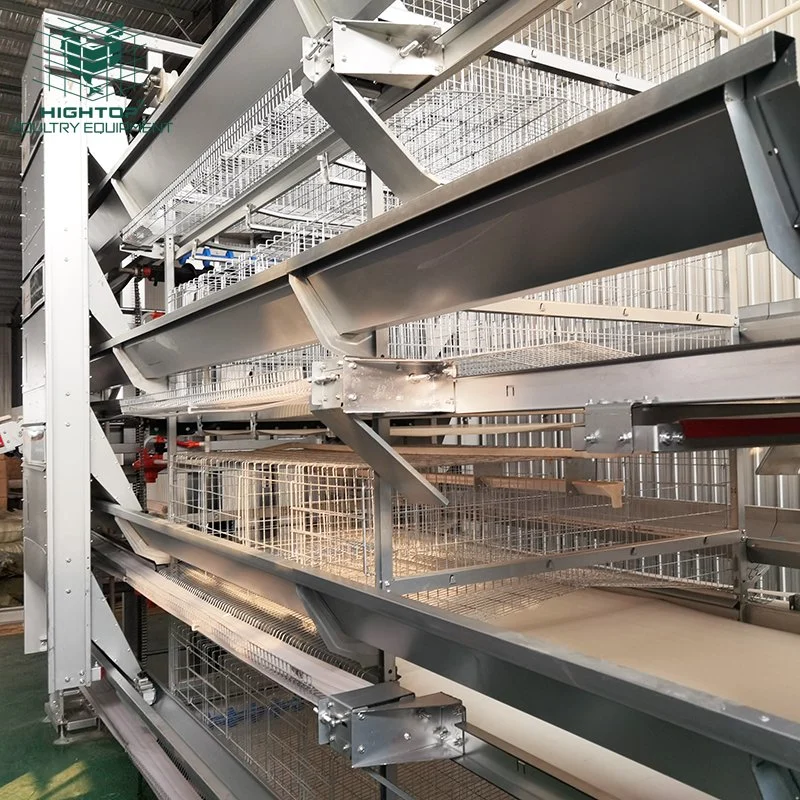 Modern Design Automatic Poultry House H Frame Hot DIP Galvanized Chicken Layer Cages for Sale