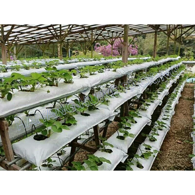 White Outside Black Panda Film Planting Plastic Seed Strawberry Nursery Grow Bags