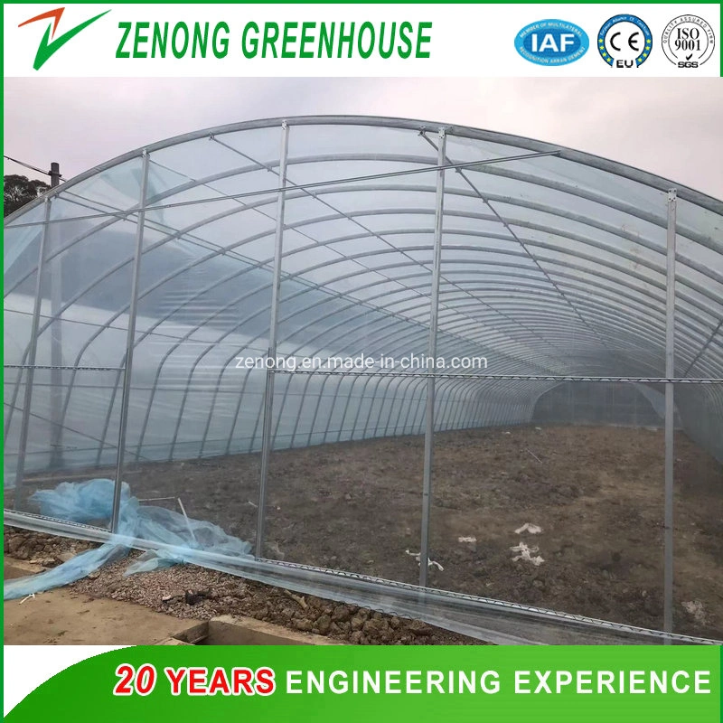 Low Cost Hot DIP Galvanized Steel Frame Easy Assembly Single Span Tunnel Arch Greenhouse