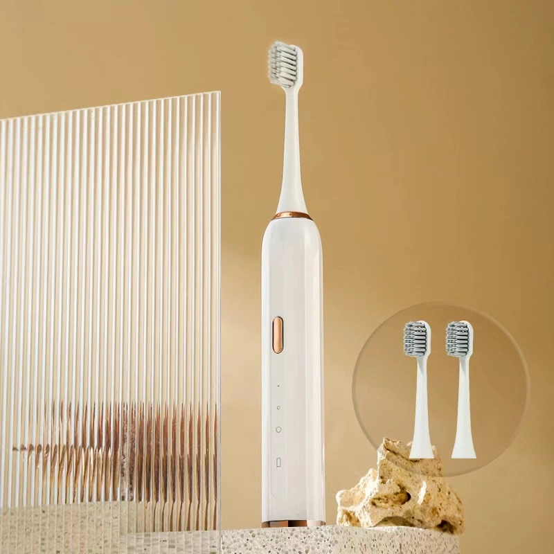 Brosse à dents électrique Sonic pour adulte, en gros, soin buccal, rechargeable automatiquement 3 Modes