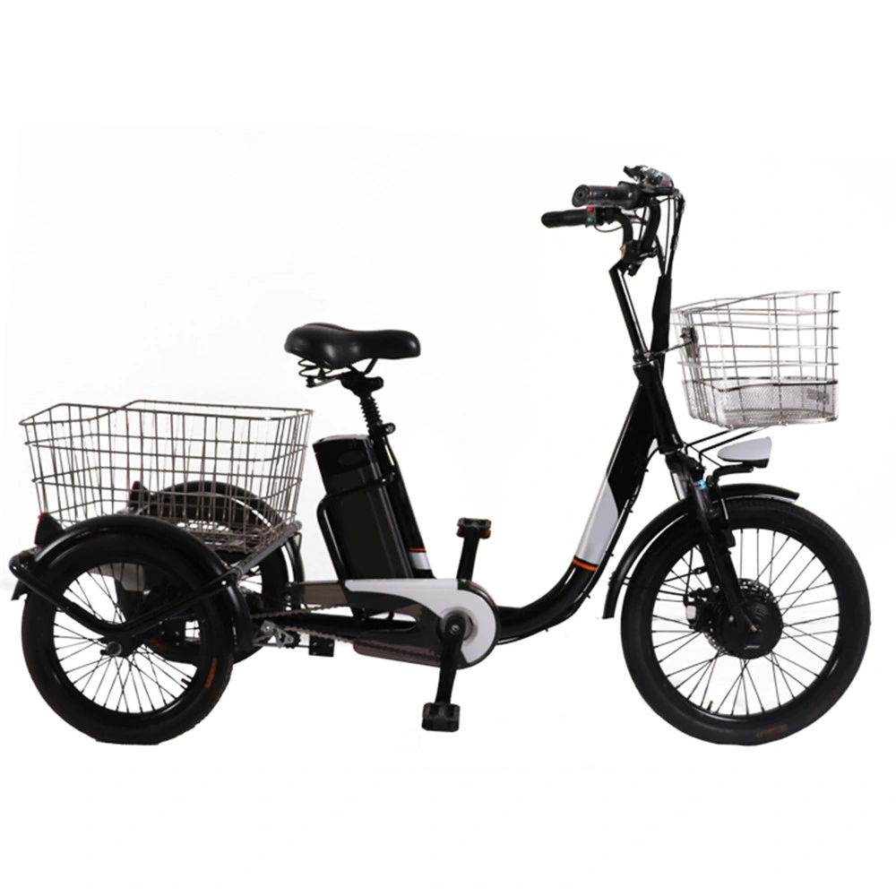 3 Wheel Electric Trike Scooter Trike Electric Motor Electric Cargo Bicycle Trike