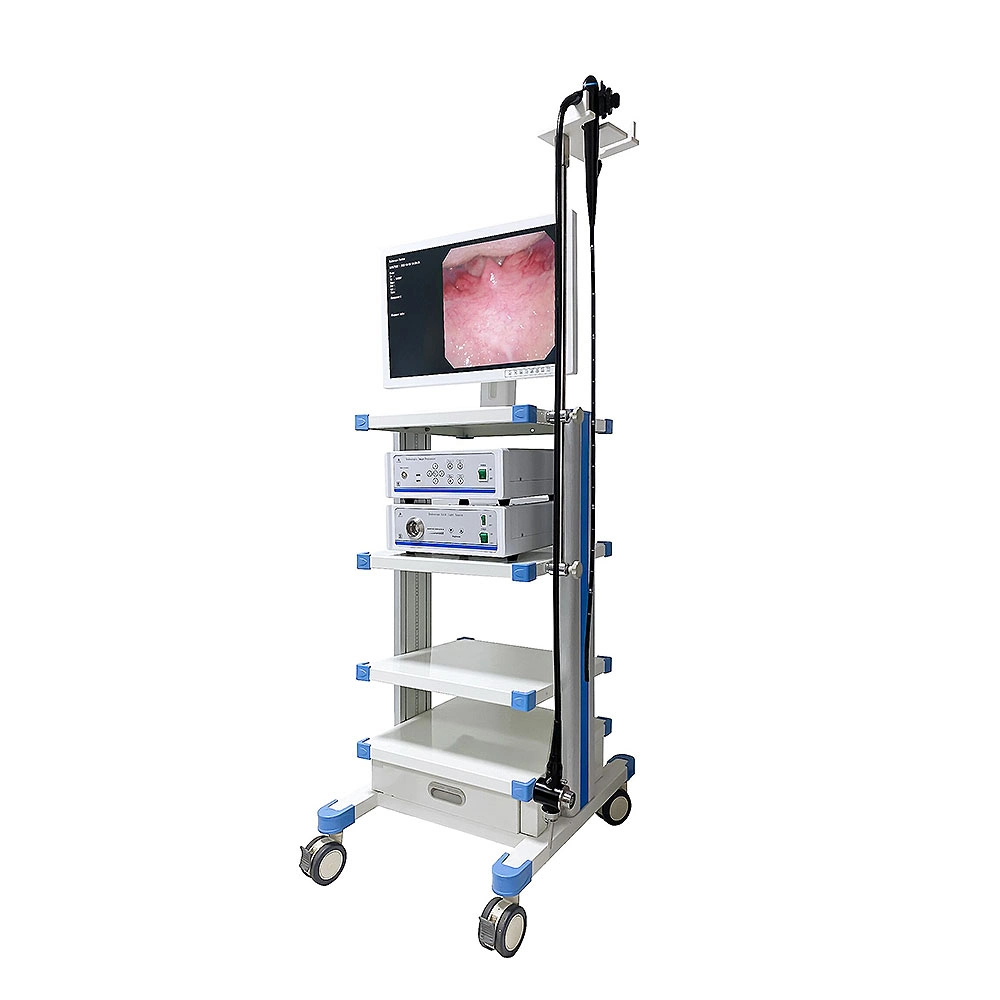 Lteg19 Endoscope Camera Video Duodenoscope Endoscope System