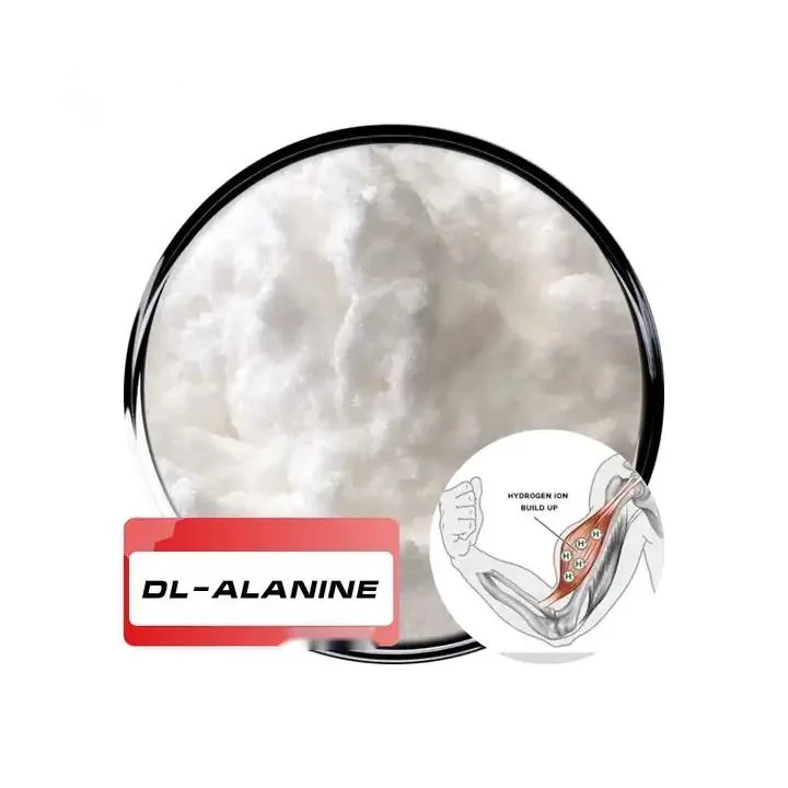 Sport Nutrition Endurance Beta-Alanine Alanine L-Alanine Capsule pour retard musculaire Soulagement de la fatigue hommes femmes hommes soutien énergétique