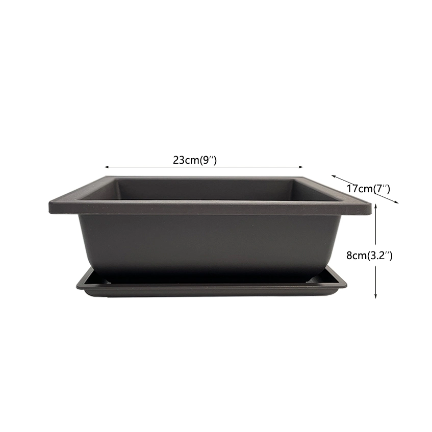 23cm Hotsale Amazônica diretamente da fábrica Bonsai Pot