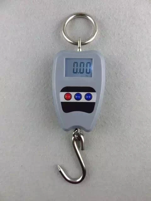 Hot Selling Brand Customized 200kg Portable Digital Hanging Weighing Scale