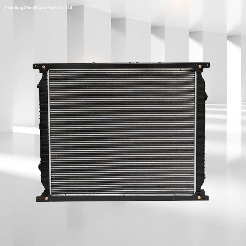 China Polar Brand Truck Radiator for 1.3 Wg9725530276 Wg9725530277