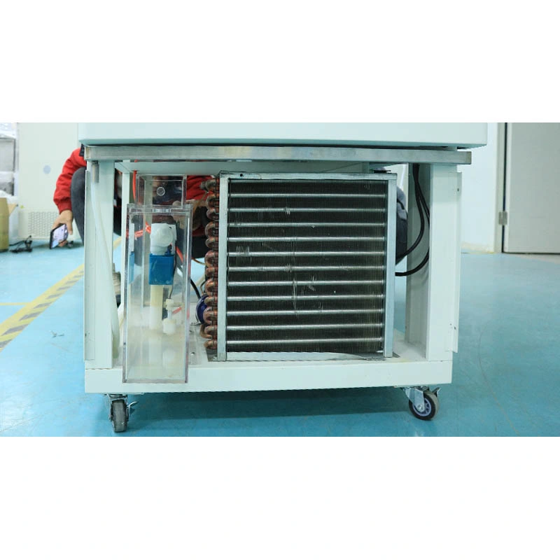 Biobase Stability Test Chamber Economic Type for Lab and Medical