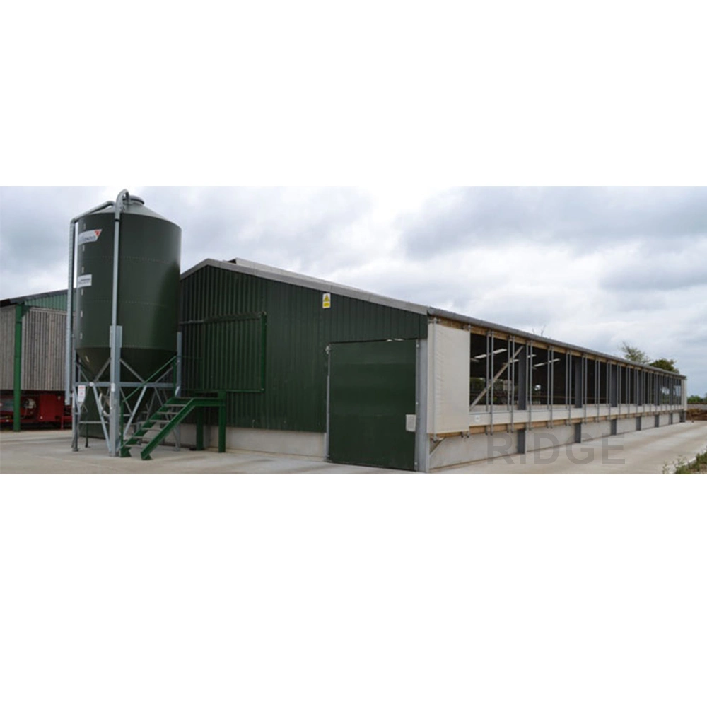 China Pre Manufactured Custom Built Modular General Steel Insulated Cheap Metal Buildings