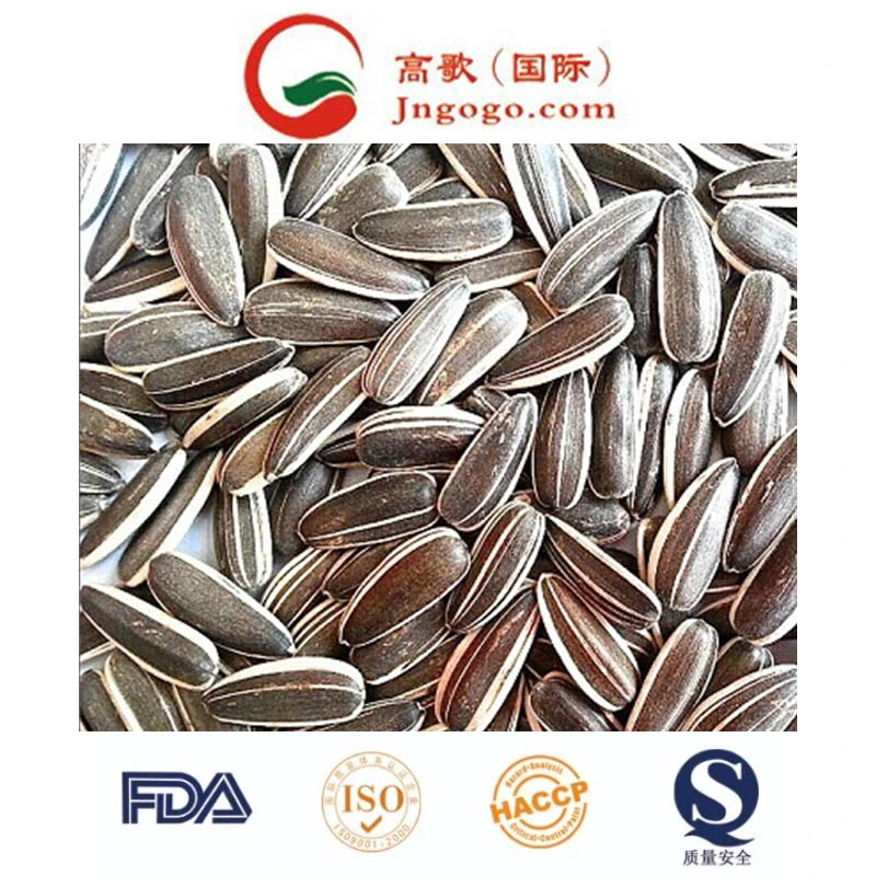 Big High quality/High cost performance Sunflower Seeds Grade 5009