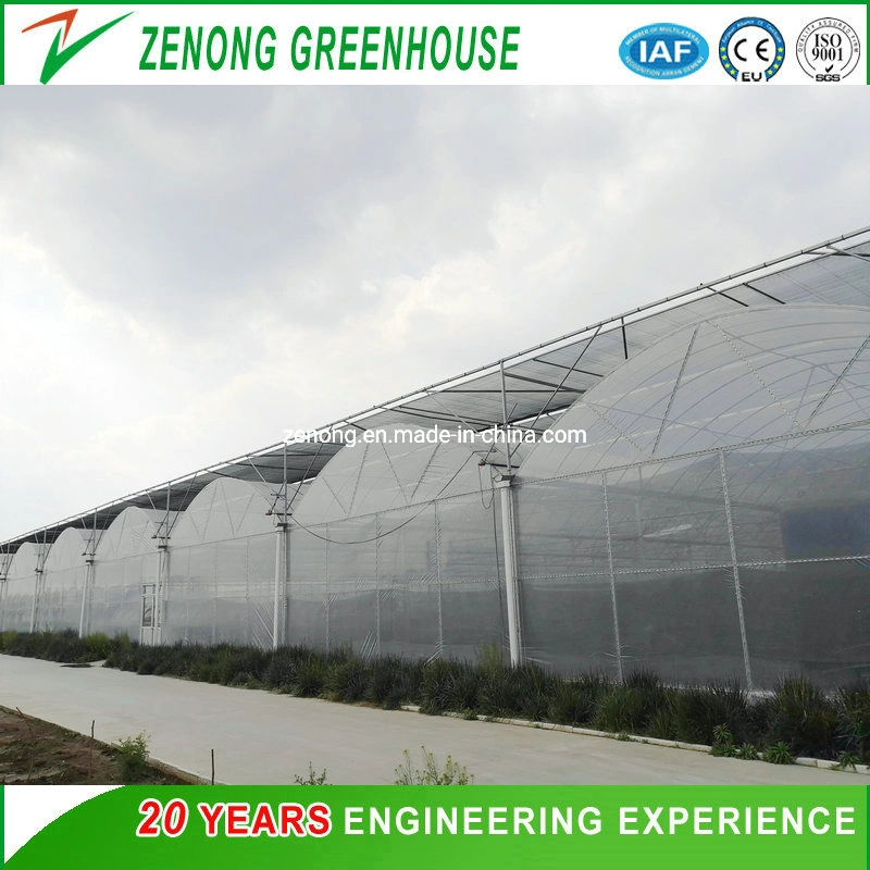 الزراعة/المزرعة/Multi-span/Single-span/Tunnel Plastic Film Greenhouse مع نظام الري لزراعة الطماطم/الفراولة/الخيار