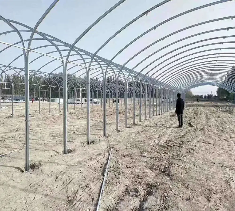 Vegetable Used Mart Agricultural Plastic-Film Greenhouse for Sale