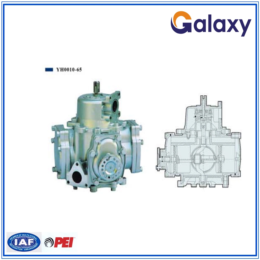 Nouveau débitmètre amélioré utilisé pour le distributeur de carburant Yh0010-65