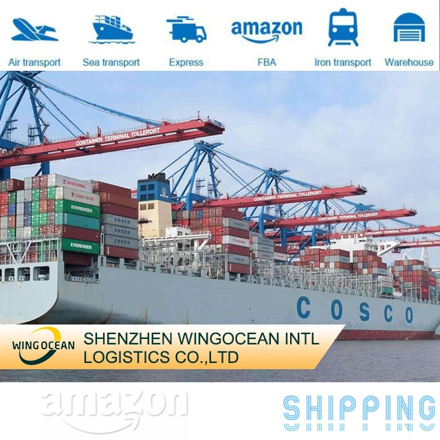 Professional International Cheapest and Fastest Sea Shipping Provider From Shenzhen to Bahrain/ Oman/ Qatar DDU DDP Logistics Service