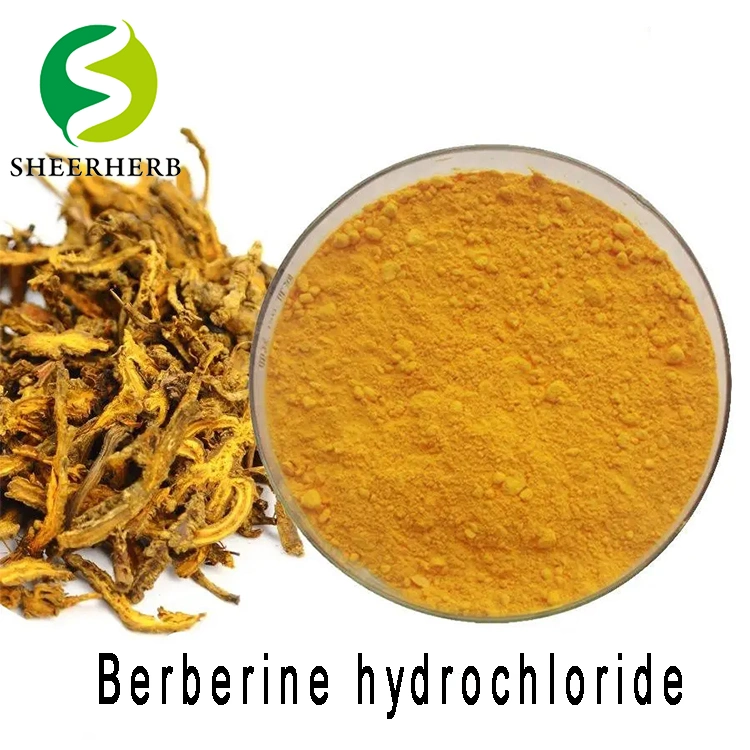 El mejor precio Beberine cápsulas berberina HCl 500 mg/cápsula berberina tabletas de clorhidrato de berberina