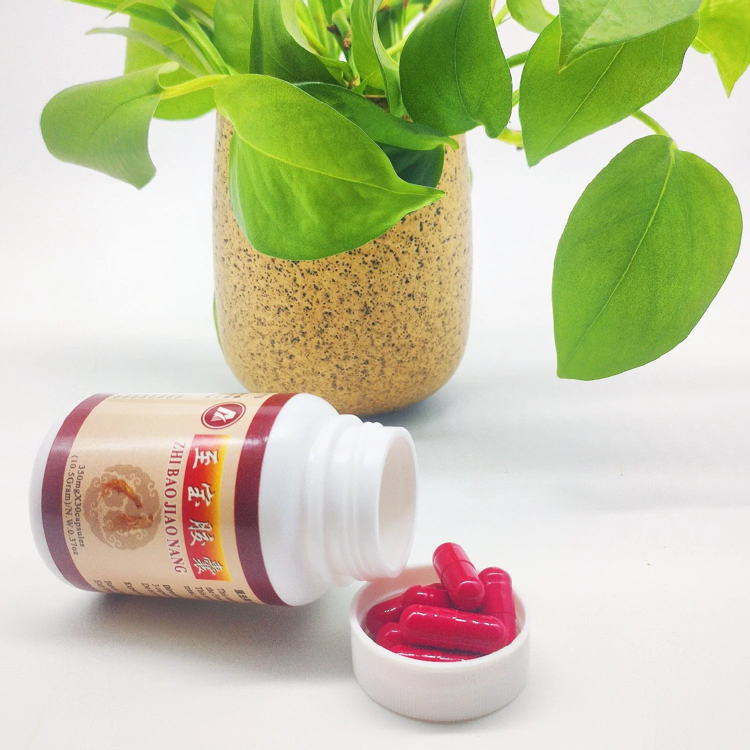 Health Food Supplement Strong Body Lasting Vitality Organic Zhibao Capsule Tonifying The Kidney