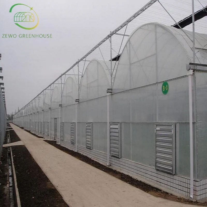 Customized Agricultural Multi-Span Plastic PE Film Greenhouse with Hydroponic System for Vegetables/ Flowers