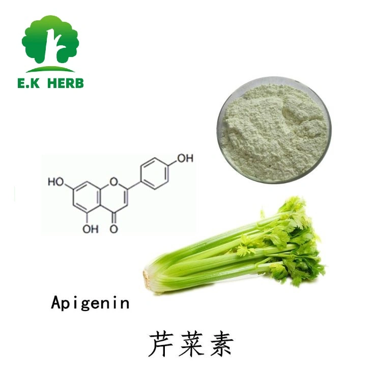 E. K Herb Plant Extract Factory Wholesale/Supplier Hot Selling High quality/High cost performance Food Grade Apigenin Inhibits Cell Aging Apigenin5%-99% CAS 520-36-5