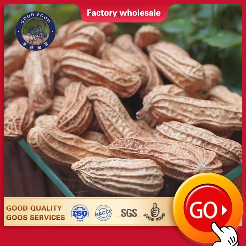 Customized Peanut Shell Exports Crop Milk Taste Roasted Peanuts