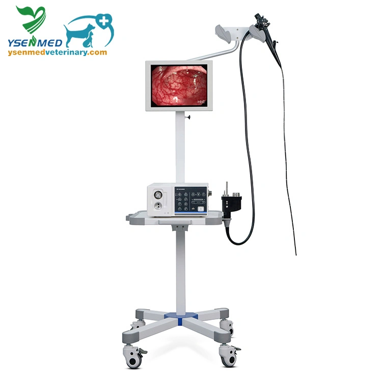 Ysendo150V Medical Equipment Pet Clinic HD Vet Video Endoscope System