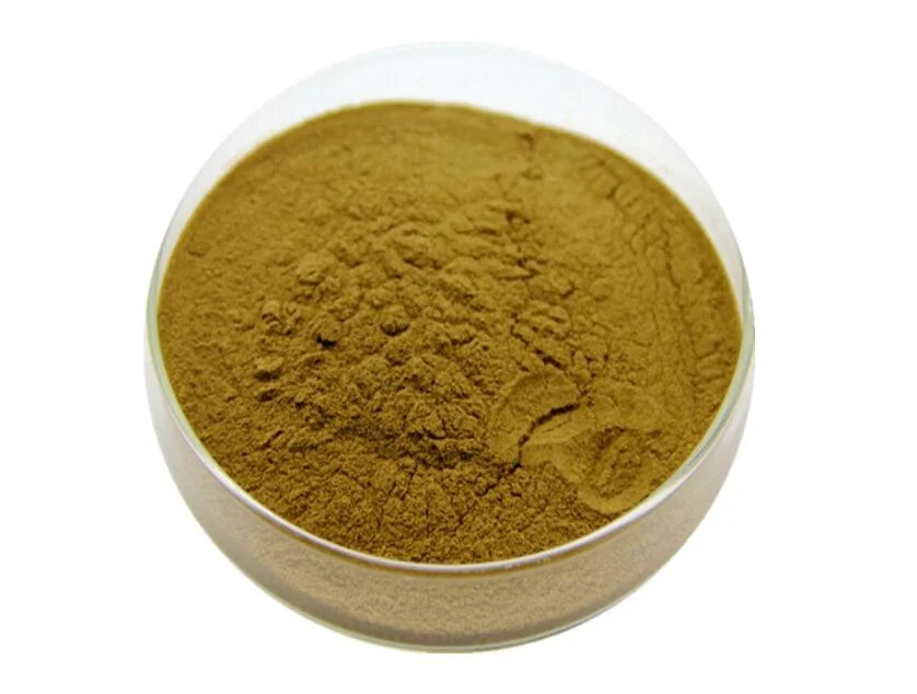 Removing Toxicity 100%Natural Plant Extract Gymnemic Acid 25%-75% Gymnema Sylvestre Extract