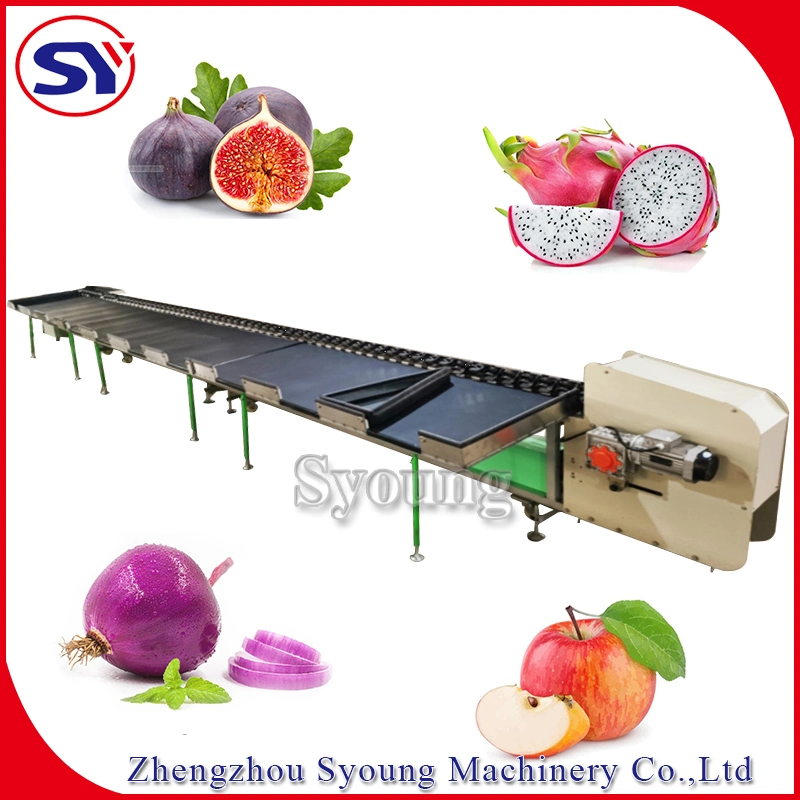 Passion Fruit Grader Weight Selecting Machine with Weighing Module